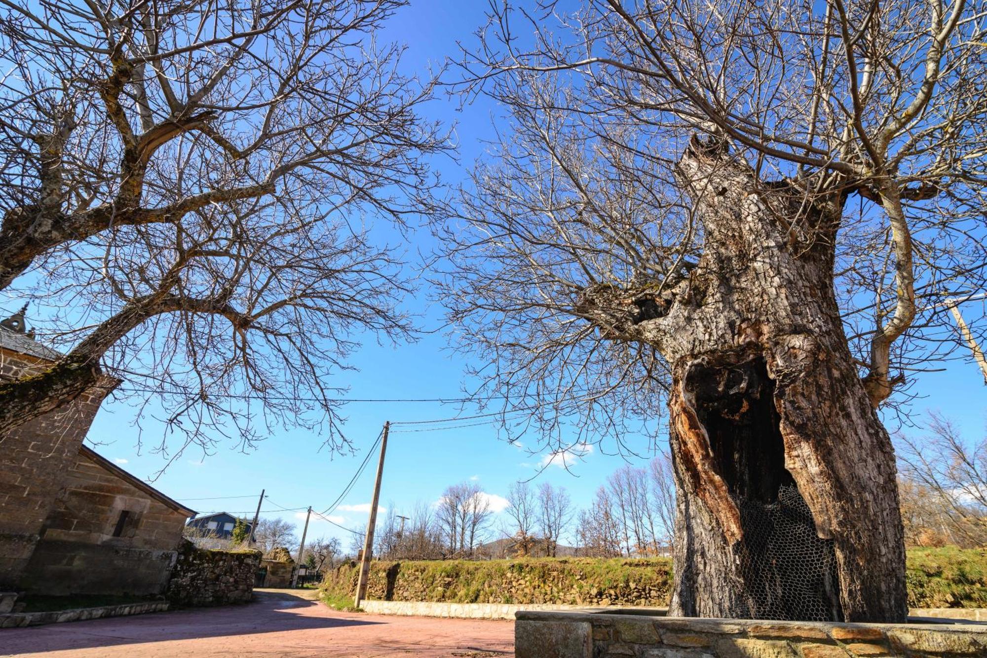 Casas Rurales San Justo 外观 照片